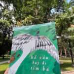 Bó Câu Bay Đi Tìm Ba