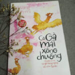 Cô gái mái xế chiều - Hwang Sun-mi