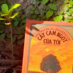 Hình ảnh cuốn sách "Cây cam ngọt của tôi"