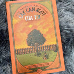 Review sách “Cây cam ngọt của tôi” – JOSÉ MAURO DE VASCONCELOS