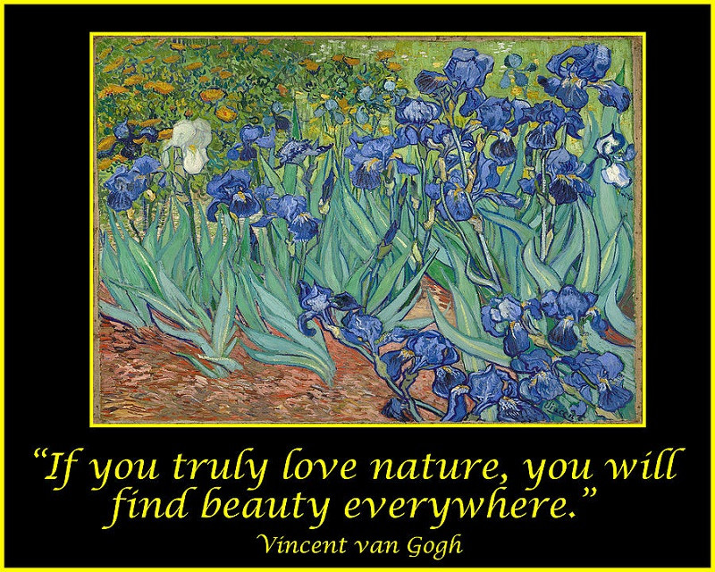 30 câu nói hay truyền cảm hứng của Van Gogh cho những tâm hồn sáng tạo